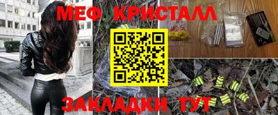 шишки Заводоуковск