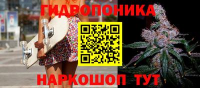 шишки Заводоуковск
