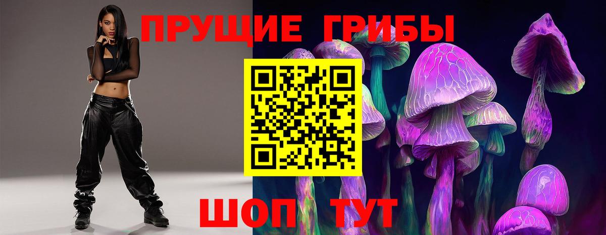 Галлюциногенные грибы Psilocybe  Вход с VPN  Лабинск 